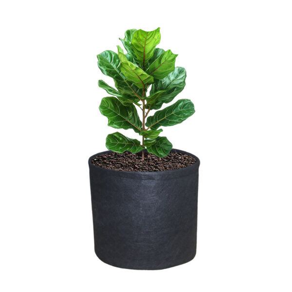Grow Bag 18" * 18" - Image 3