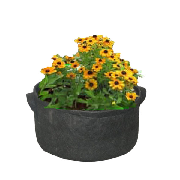 Grow Bag 6" * 10" - Image 3