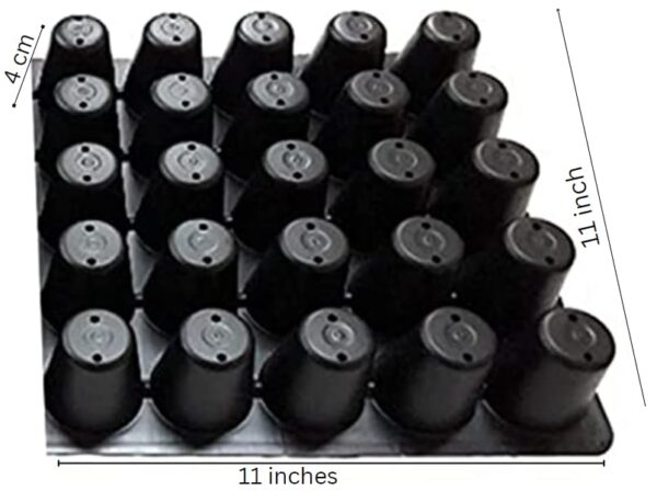 Seed Germination Seedling Tray- Black 25 Cavity 2 PC - Image 2
