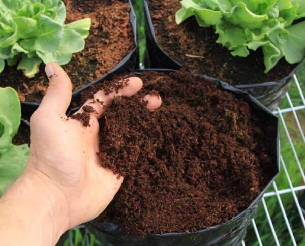 Sterilized Cocopeat Block 650 Gm - Image 3