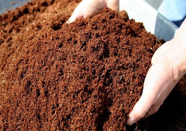 Sterilized Cocopeat Block 650 Gm - Image 2