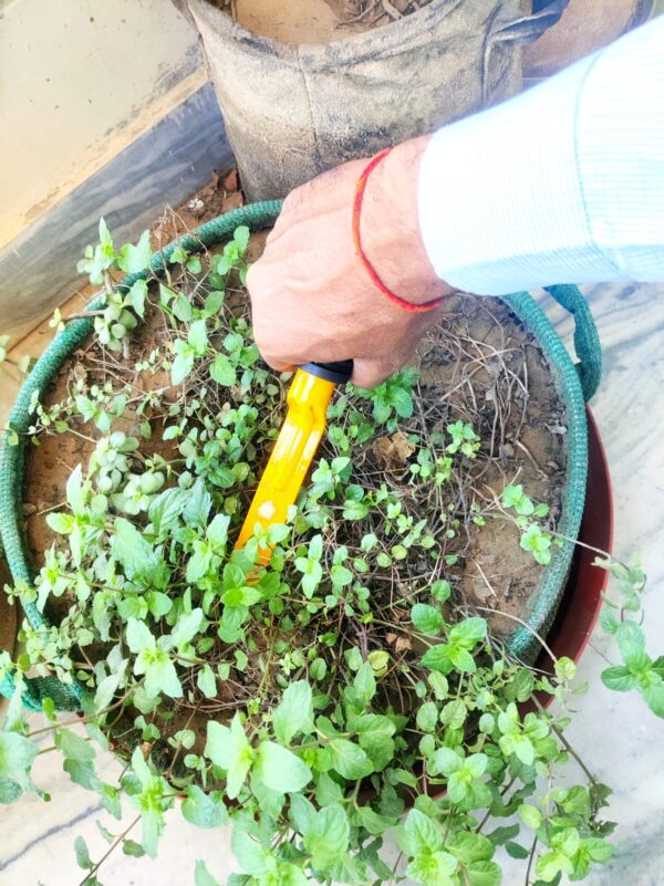 Gardening Khurpi 1 Inch Blade - Image 3